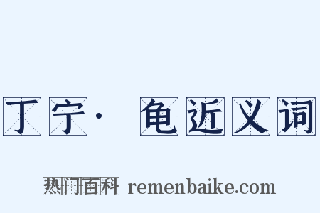 丁宁·龟近义词是什么意思的图片